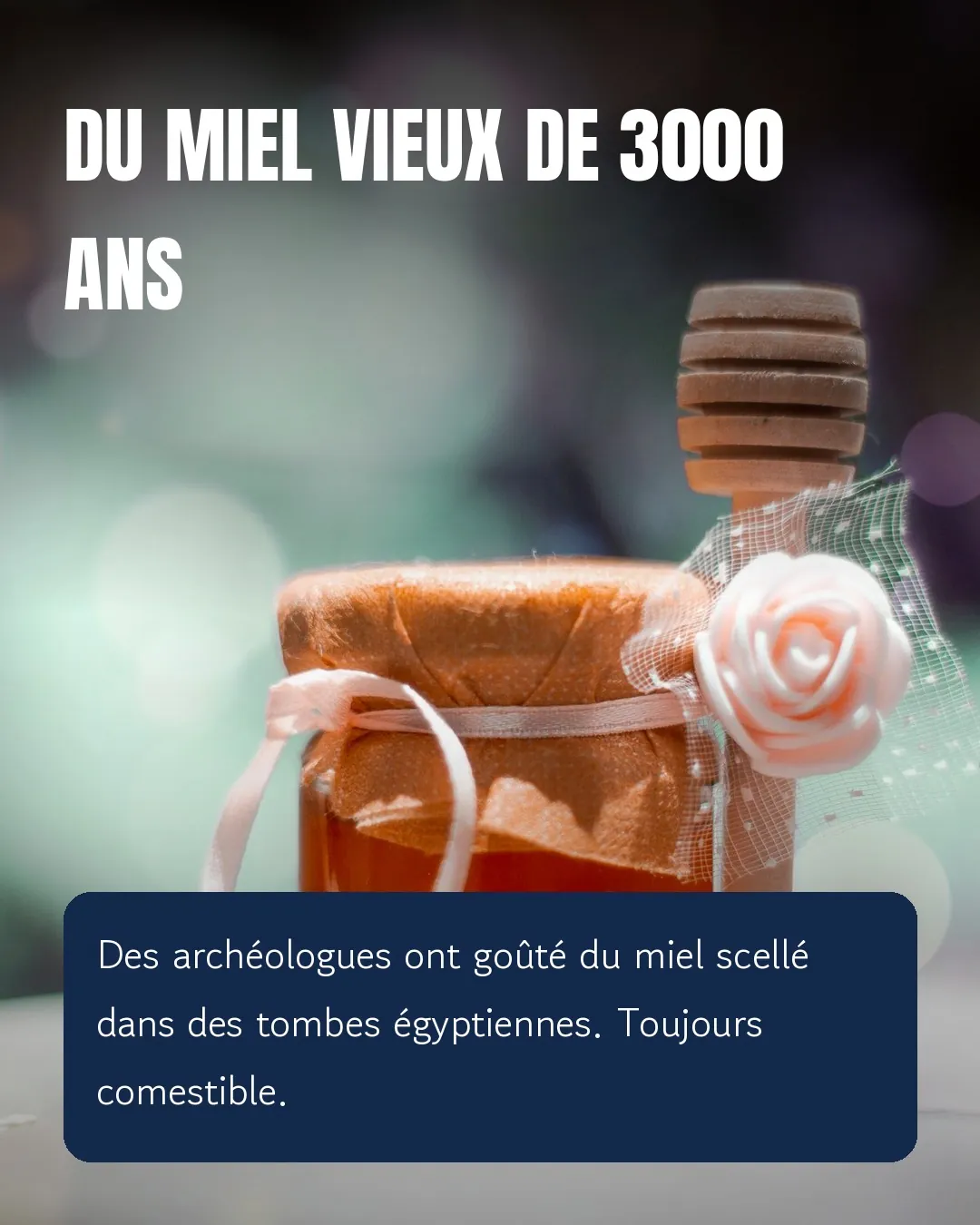 Aperçu : Carrousel Insta x Pexels