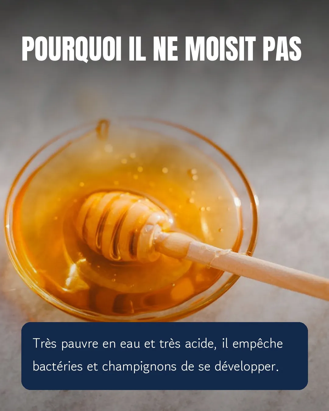Aperçu : Carrousel Insta x Pexels